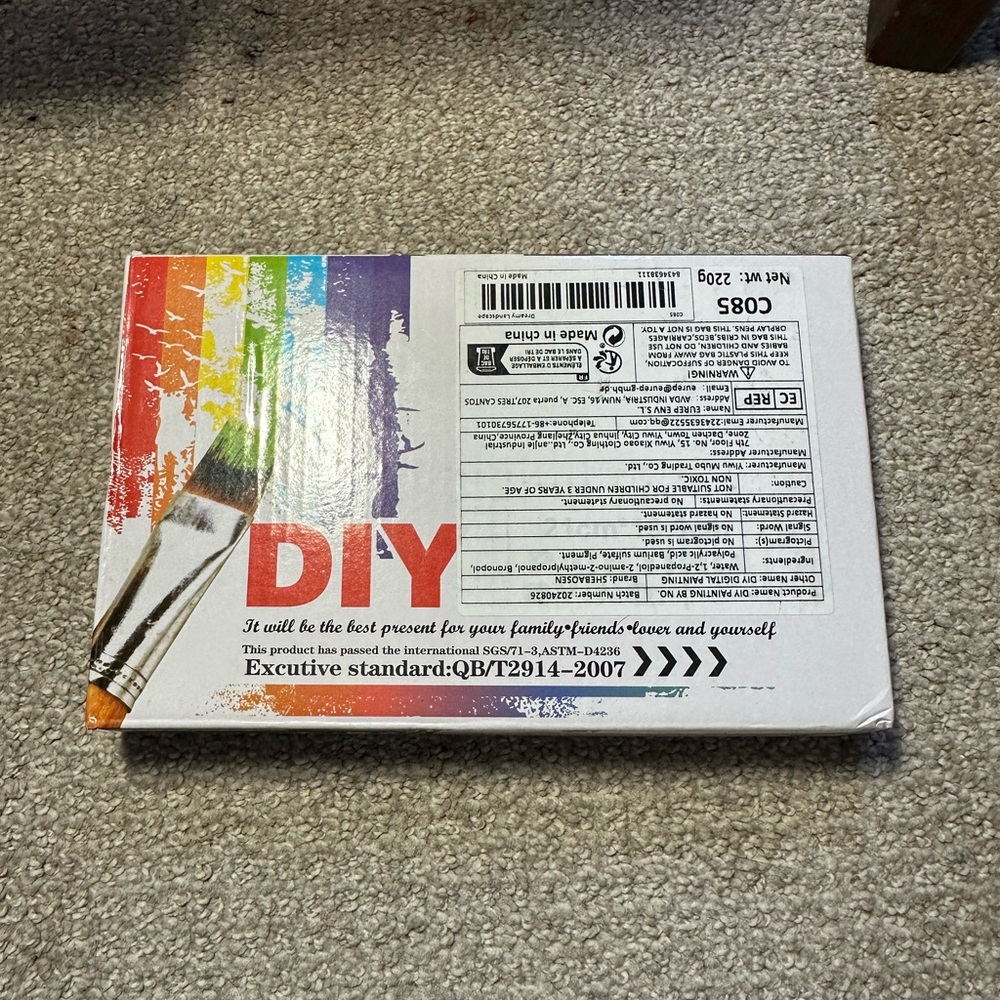 DIY Paint Set with Brush